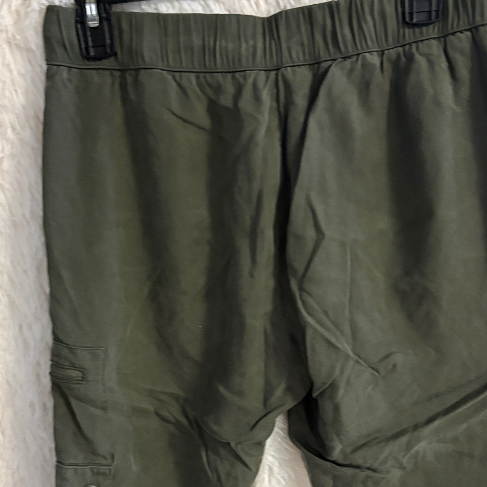 Banana Republic Dark Green Cargo Pants - Picture 8 of 9